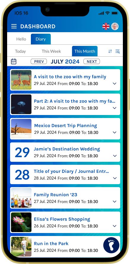 Different Diary Views - This Month