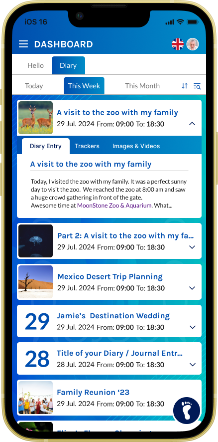Different Diary Views - This Week
