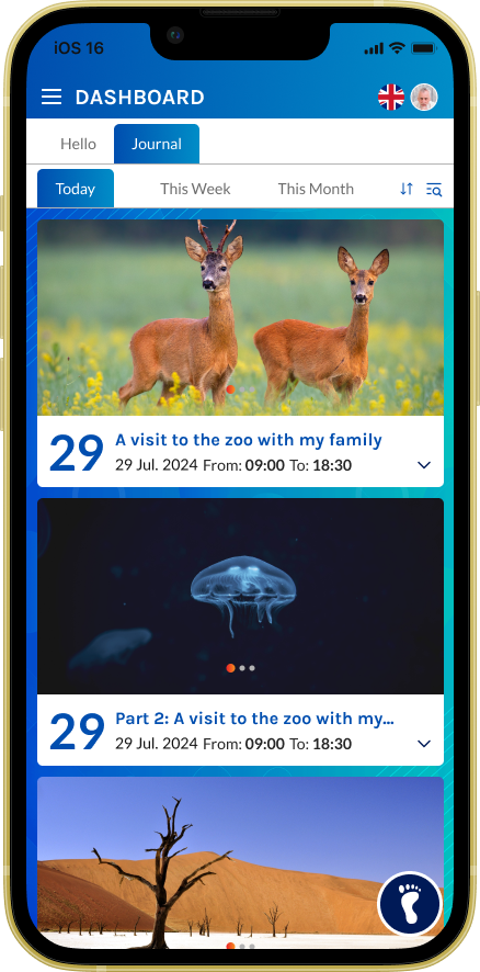Different Diary Views - Today